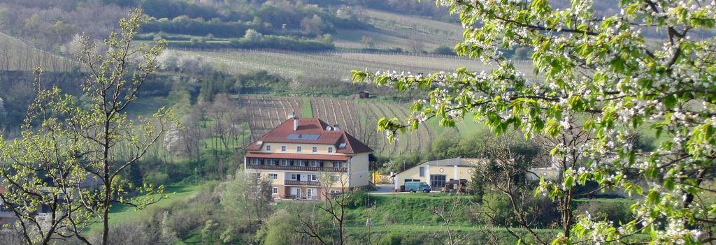 Hotel Pension Rudi - Weingut Kellner Pulkau Zewnętrze zdjęcie