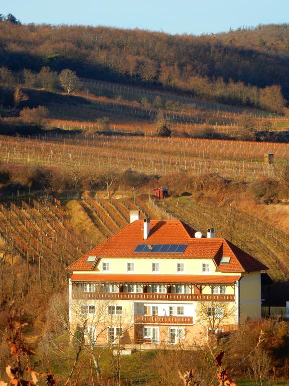 Hotel Pension Rudi - Weingut Kellner Pulkau Zewnętrze zdjęcie